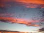 sunset-manning 035